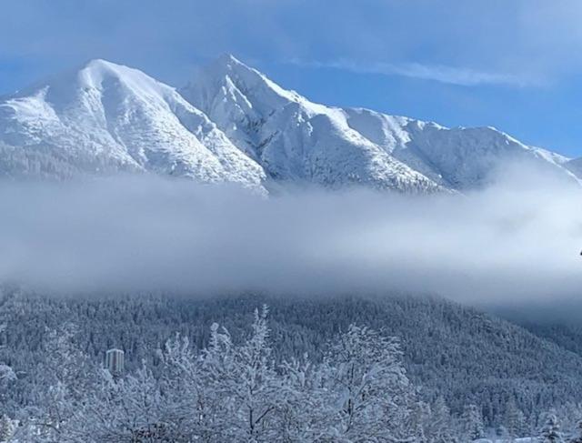 Haus Anna Apartamento Seefeld in Tirol Exterior foto